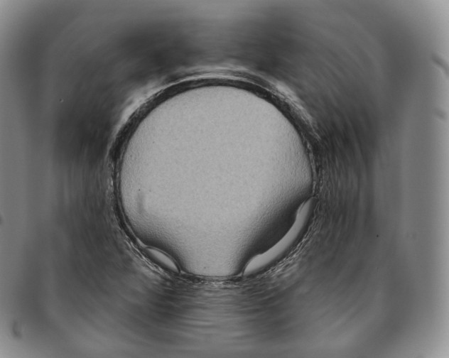 X0000096691360200803041252