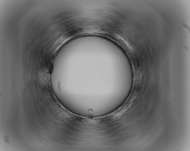 X0000096691361200803041252