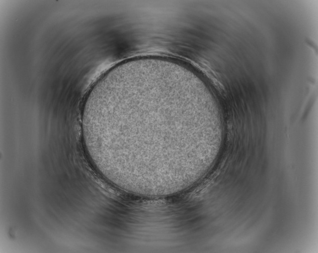 X0000096691363200803041252