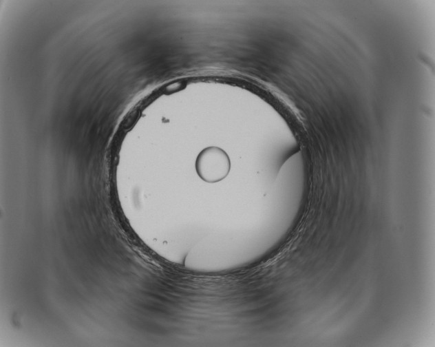 X0000096691364200803041252