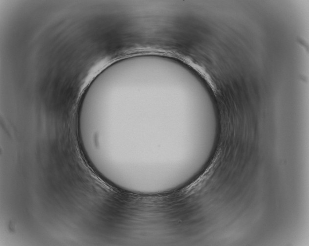 X0000096691365200803041252