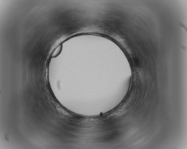 X0000096691366200803041252