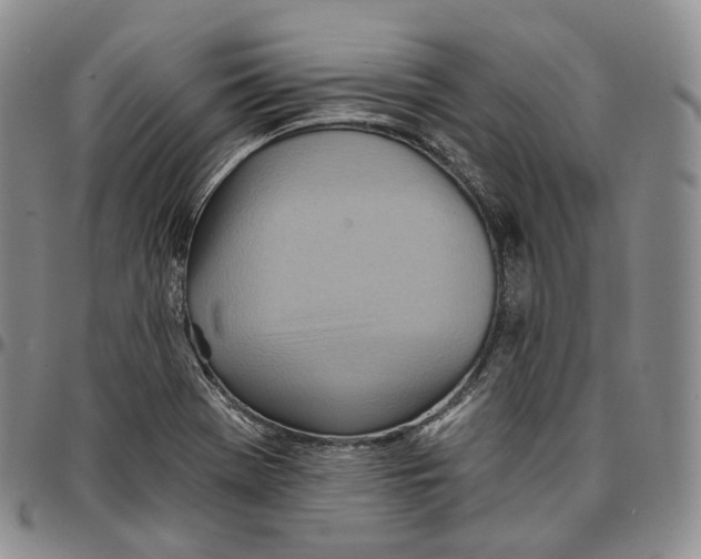 X0000096691369200803041252