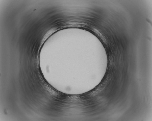 X0000096691370200803041252