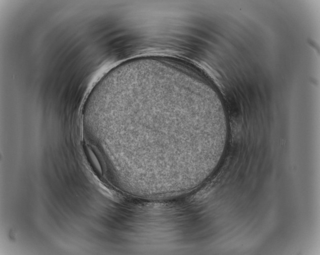 X0000096691371200803041252