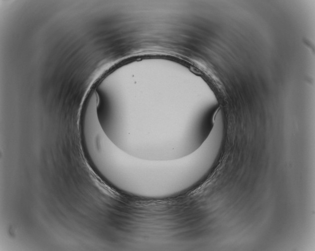 X0000096691372200803041252