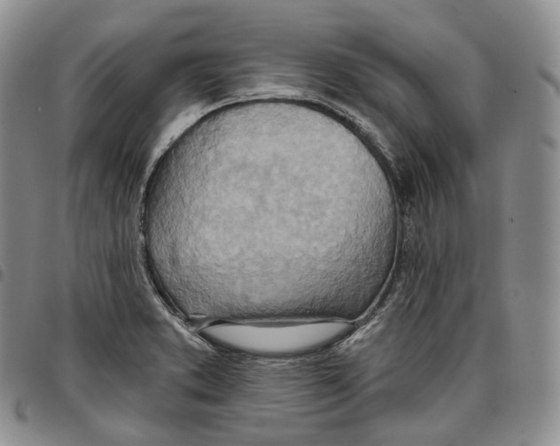 X0000096691373200803041252