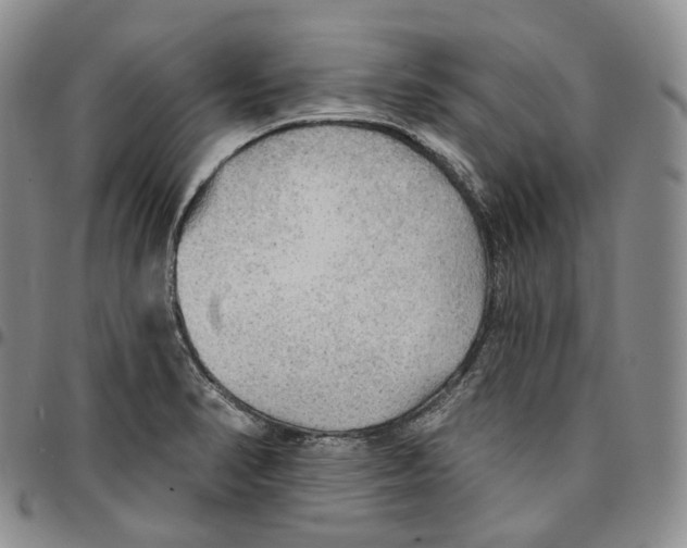 X0000096691374200803041252