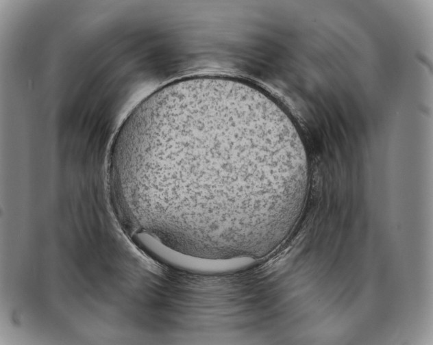 X0000096691375200803041252