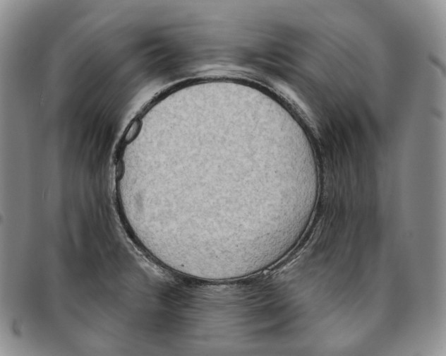 X0000096691376200803041252