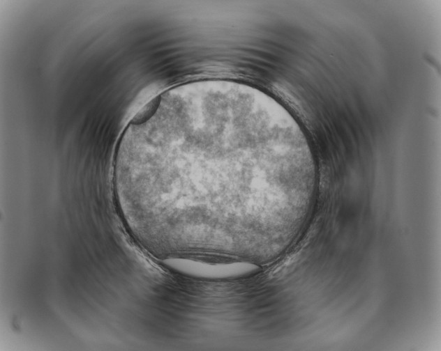 X0000096691378200803041252