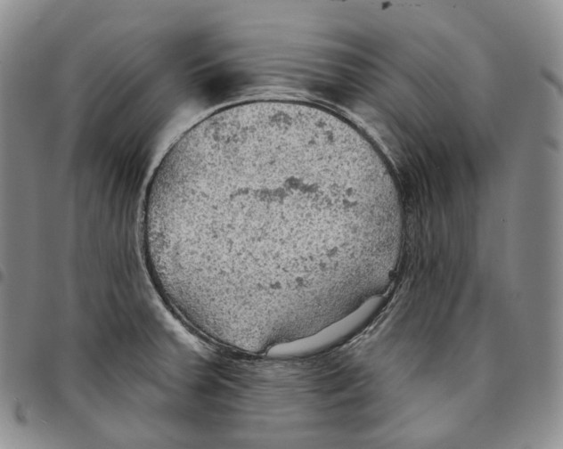 X0000096691379200803041252