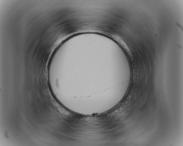 X0000096691380200803041252