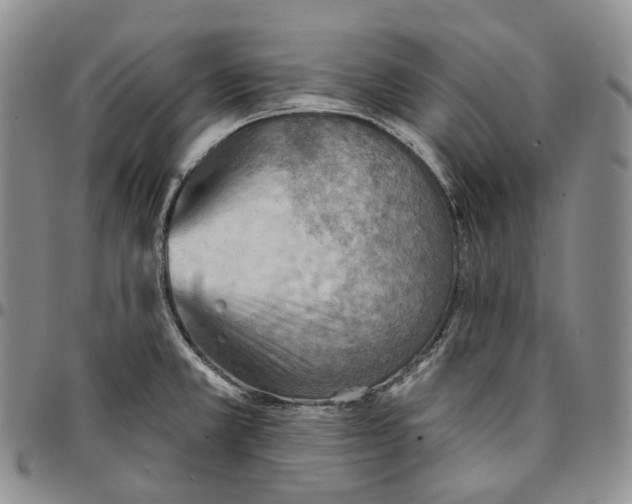 X0000096691381200803041252