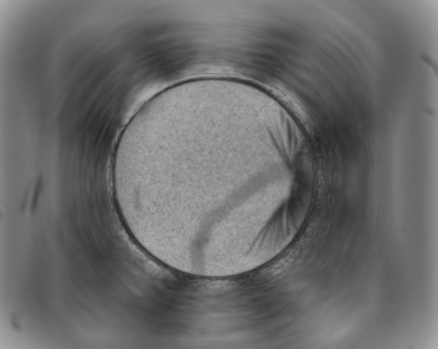 X0000096691382200803041252