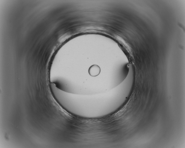 X0000096691384200803041252