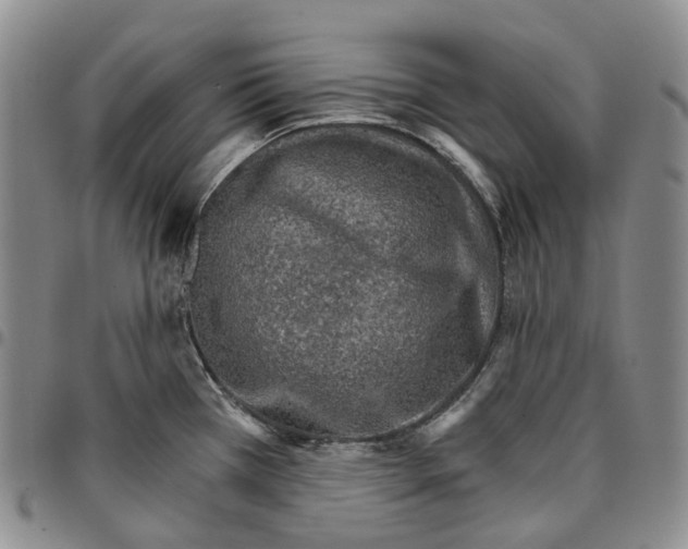 X0000096691385200803041252