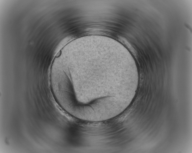 X0000096691386200803041252