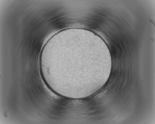 X0000096691387200803041252