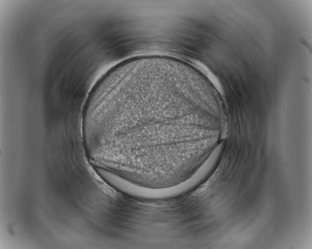 X0000096691388200803041252