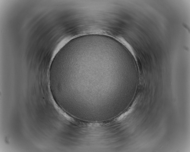 X0000096691389200803041252