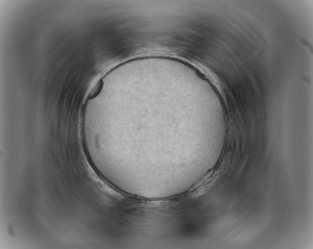 X0000096691390200803041252