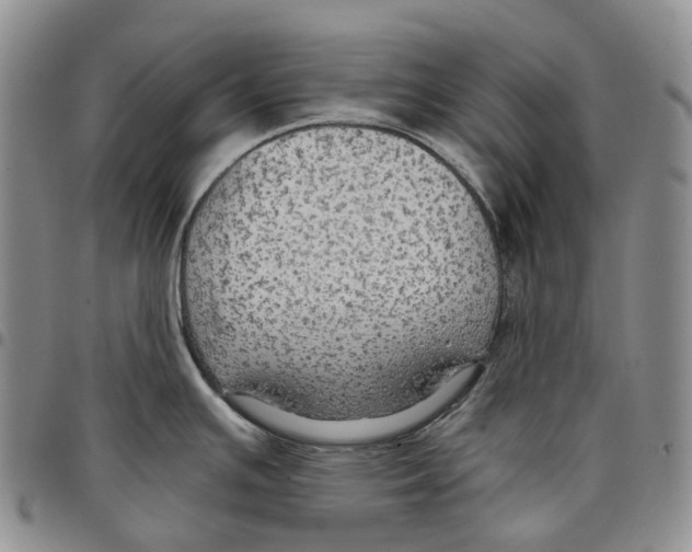 X0000096691391200803041252