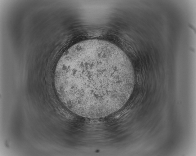 X0000096691393200803041251