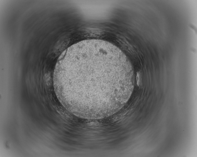 X0000096691395200803041251