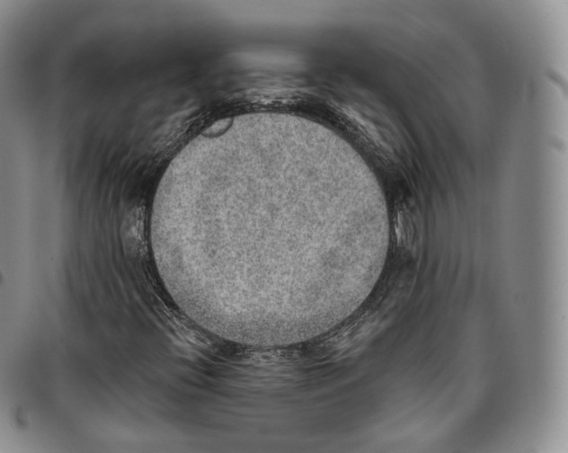 X0000096691396200803041251