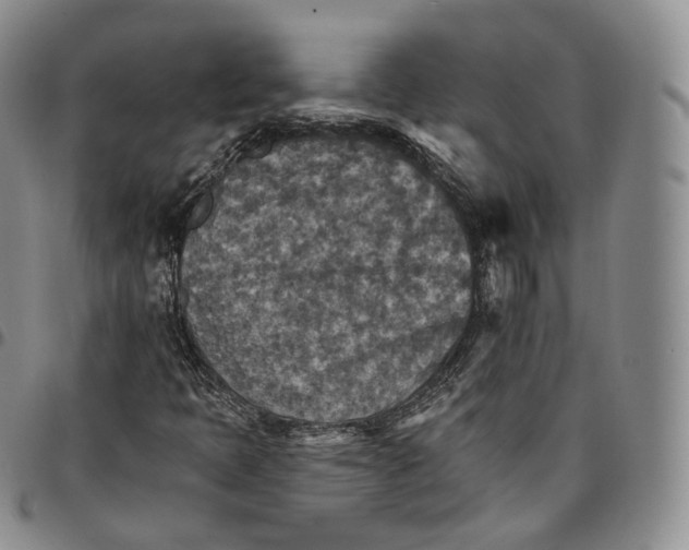 X0000096691397200803041251