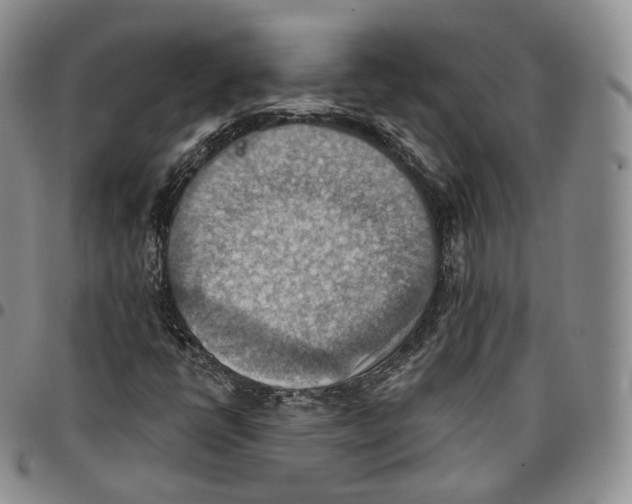 X0000096691398200803041251