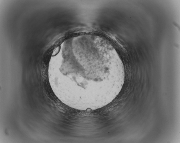 X0000096691399200803041251