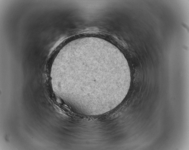 X0000096691400200803041251