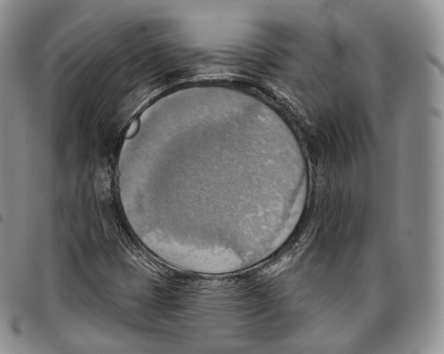 X0000096691401200803041251