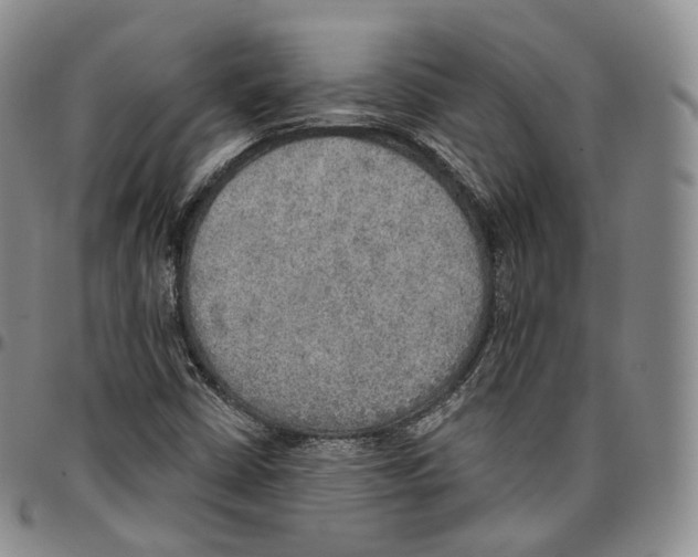 X0000096691402200803041251