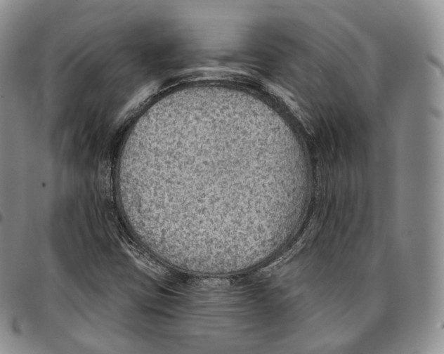 X0000096691403200803041251