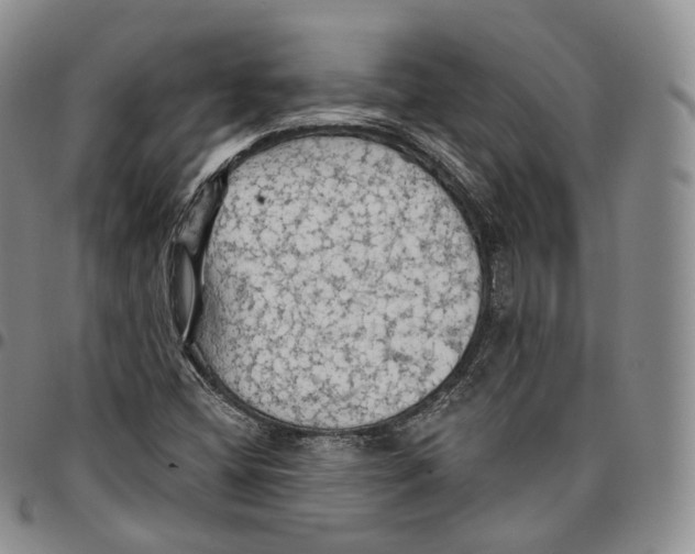 X0000096691404200803041251