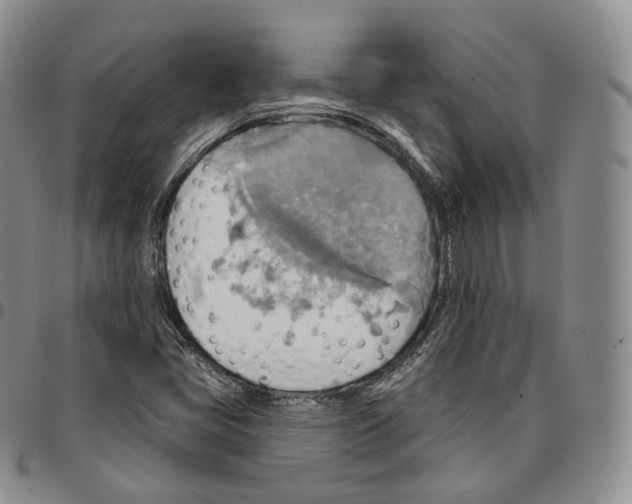 X0000096691405200803041251