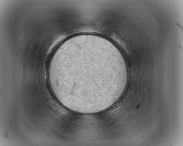 X0000096691408200803041251