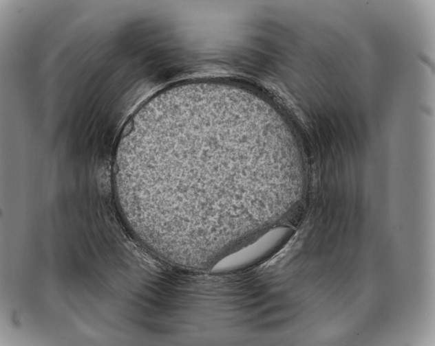 X0000096691409200803041251