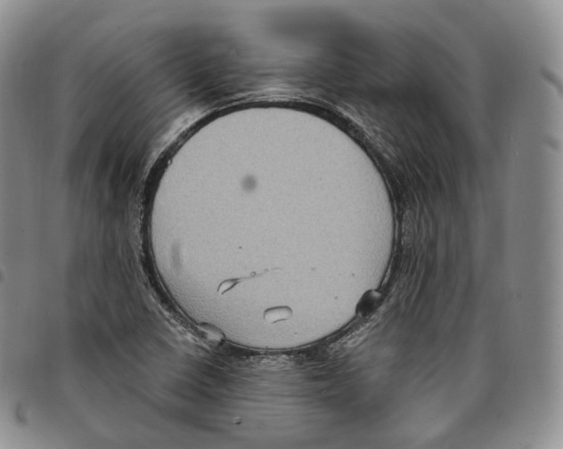 X0000096691410200803041251