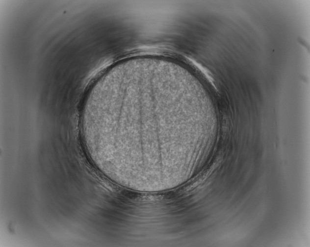 X0000096691411200803041251