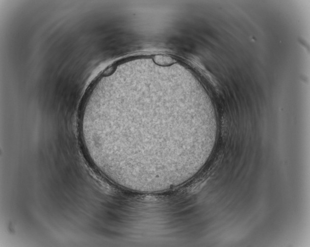 X0000096691412200803041251