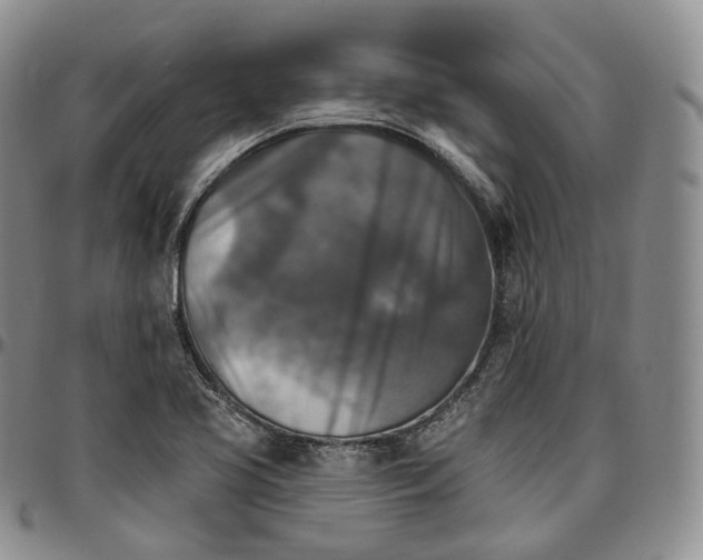 X0000096691413200803041251