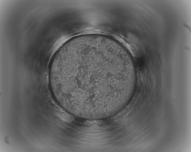 X0000096691415200803041251