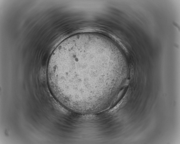 X0000096691417200803041251