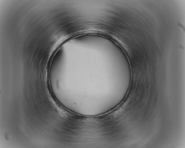 X0000096691418200803041251