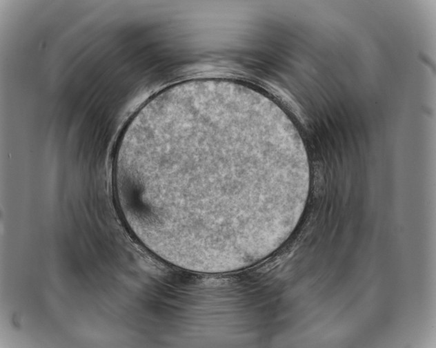 X0000096691419200803041251