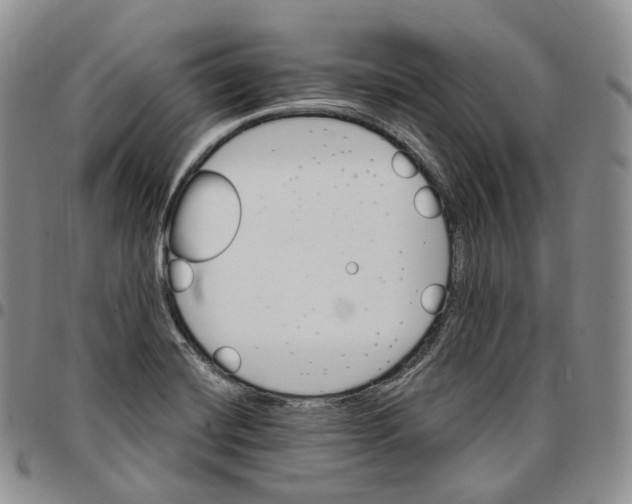 X0000096691420200803041251